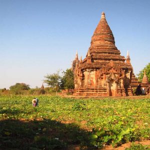 Templo e Plantações em Bagan